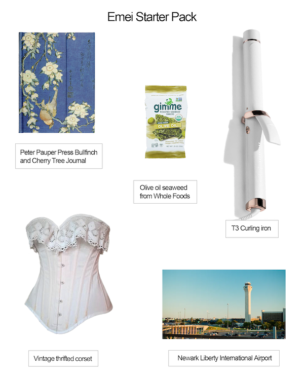 emei_starter_02.png
